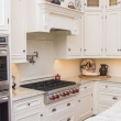 Kitchen / Traditional / Inset / Paint / Hood
