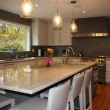 Kitchen / Contemporary / Two Toned / Island / Paint