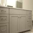 Guest Bath / Traditional / Full Overlay / Paint / Shaker