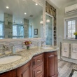 Master Bath (Traditional Furniture style)